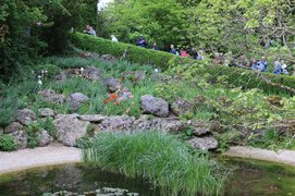 Gartenführungen Prof. Doschka