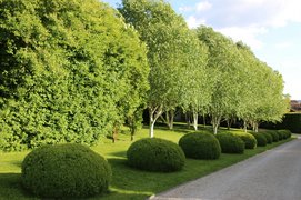 Gartenführungen Prof. Doschka